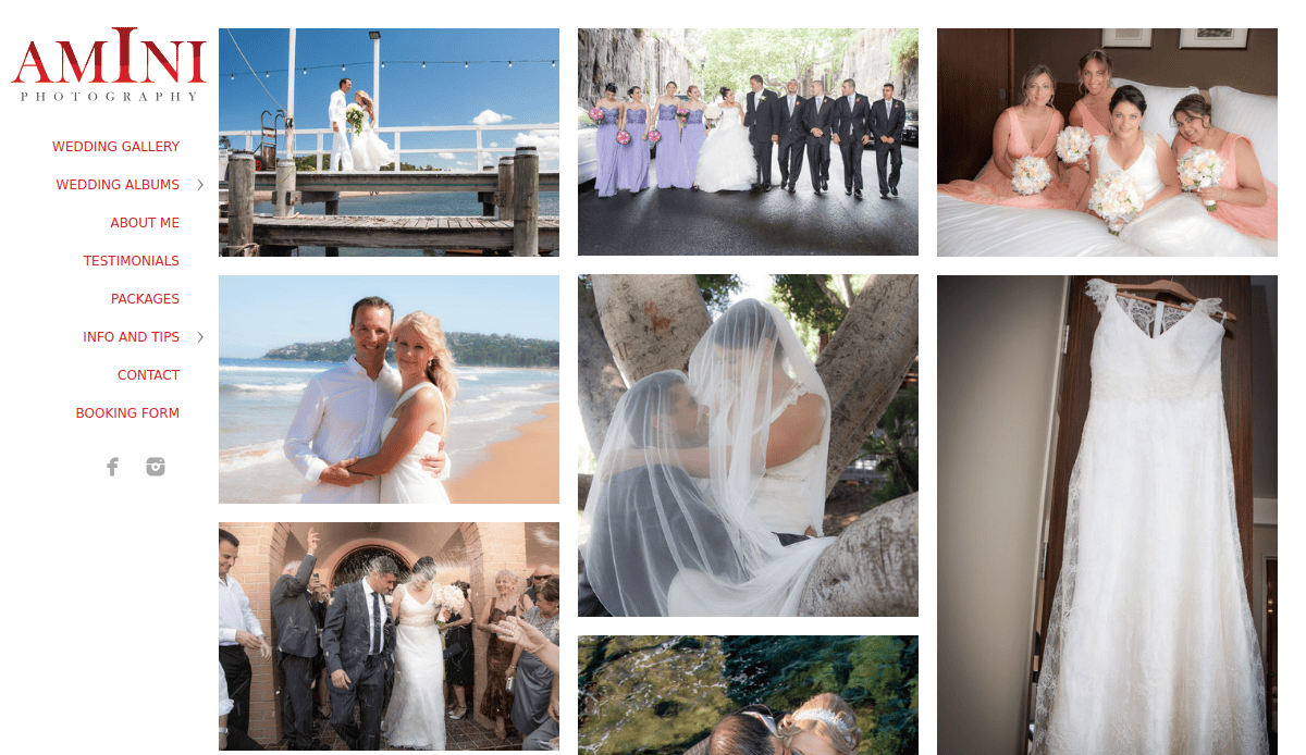 A collage of wedding photos showing couples, bridal parties, a wedding dress, and outdoor ceremonies, with a navigation menu on the left for a wedding website guide and photography inspiration.