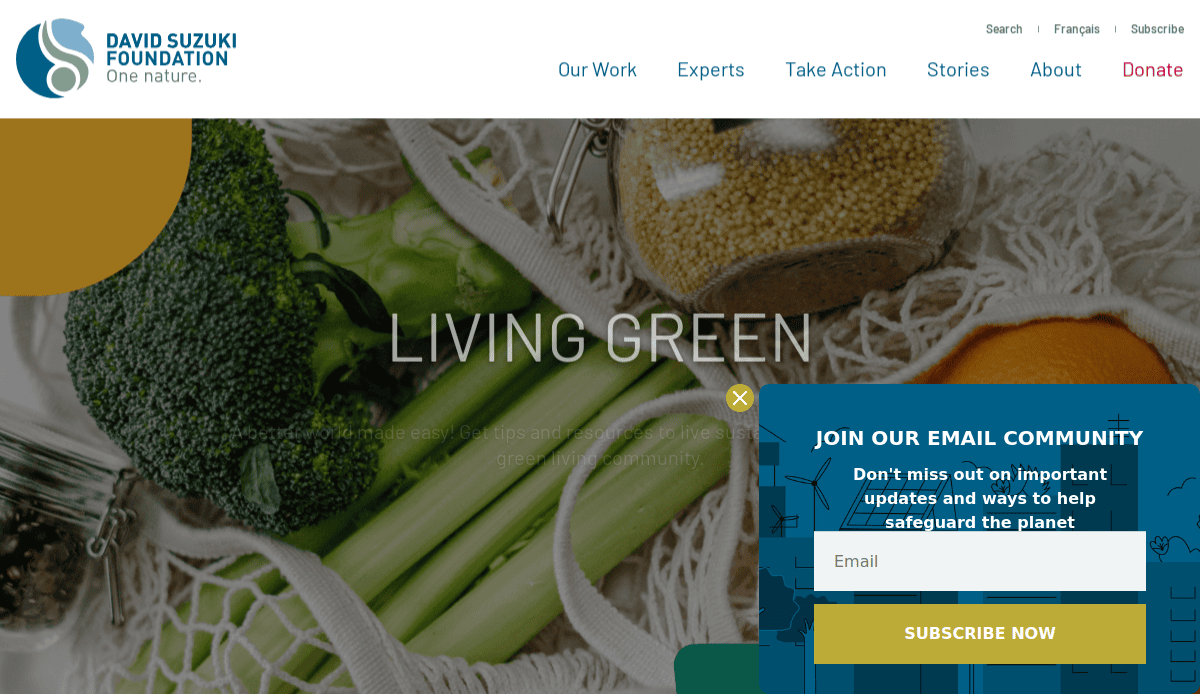 A website homepage for the David Suzuki Foundation features fresh vegetables in reusable produce bags, showcasing eco-friendly web design, and a pop-up inviting users to join an email community for updates on safeguarding the planet.
