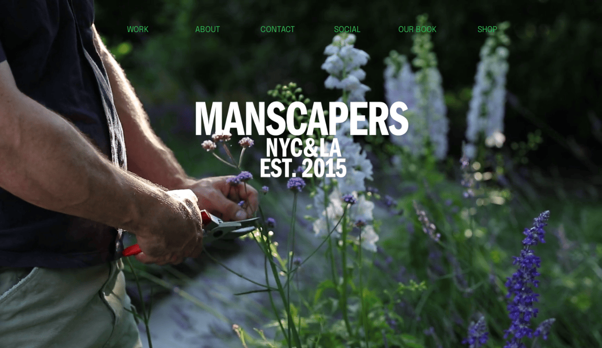 Close-up of a persons hands trimming purple flowers in a garden with pruning shears, showcasing expert landscaping services. White text over image reads Manscapers NYC & LA Est. 2015. Green navigation menu is visible at the top.