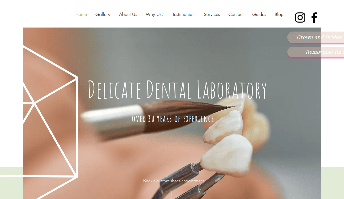 A close-up of a dental technician painting a dental crown with a small brush, featured on a dental laboratory website. The text reads Delicate Dental Laboratory, Over 30 Years of Experience.