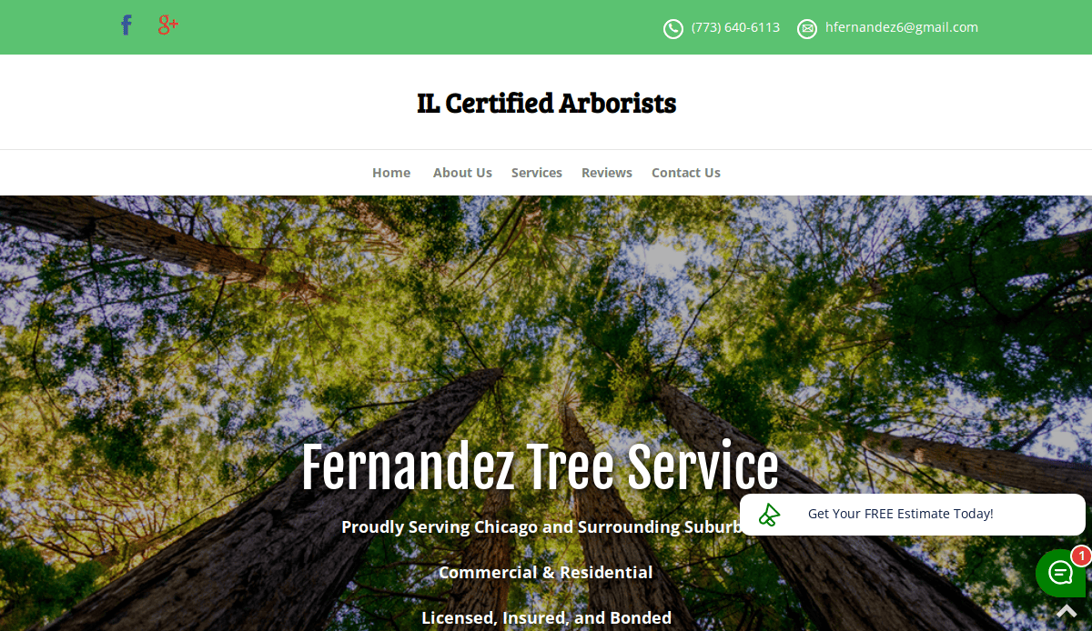 Screenshot of a tree service website showing tall trees from below, with the company name Fernandez Tree Service and contact info. Menu options include Home, About Us, Services, Reviews, and Contact Us.