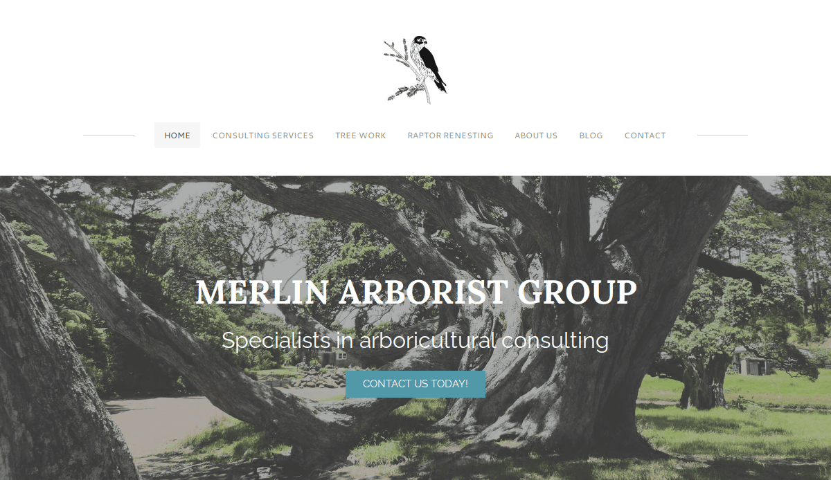 Website homepage for Merlin Arborist Group featuring large, old trees, site navigation menu, and a banner reading Specialists in arboricultural consulting with a Contact Us Today! button.