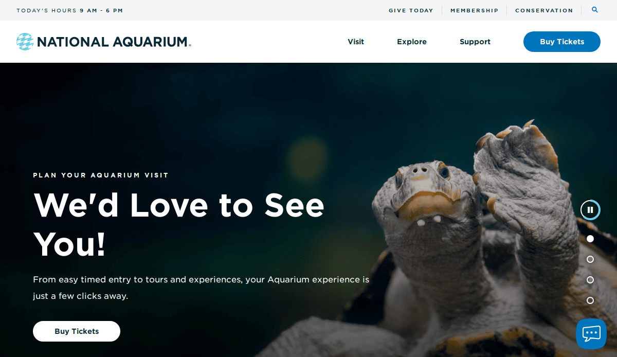 A close-up of two turtles stacked together, featured on the National Aquarium website homepage, with a Wed Love to See You! message and a button to buy tickets.