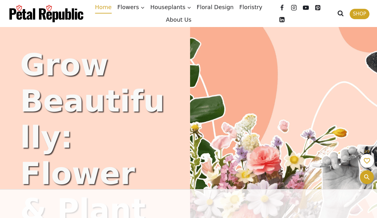 Screenshot of Petal Republic website homepage, featuring the logo, navigation menu, and a graphic with assorted colorful flowers on a pastel peach background. Text reads, Grow Beautifully: Flower & Plant.