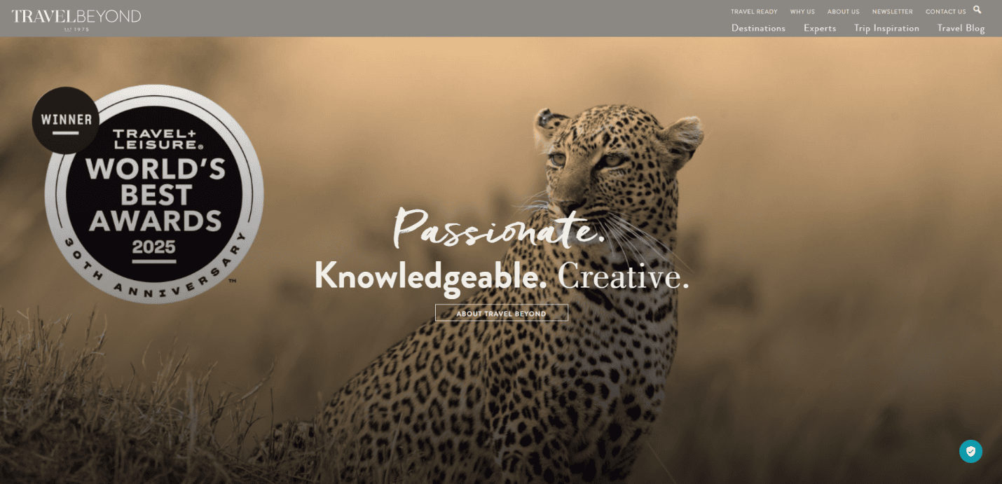 A leopard sits in tall grass with a blurred background. Overlaid text reads “Passionate. Knowledgeable. Creative.” and a “Travel + Leisure World’s Best Awards 2025” winner badge—ideal inspiration for high-performing travel agency website design.