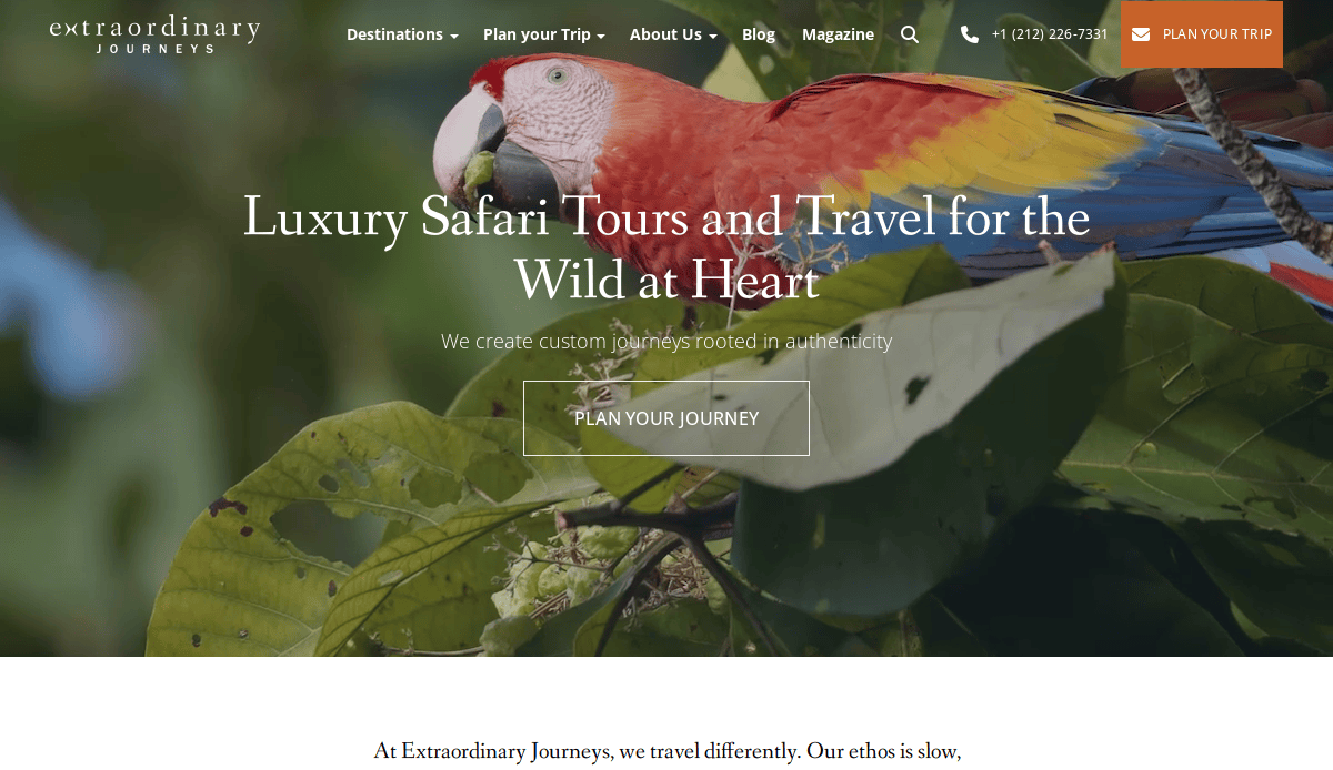 A colorful parrot perched on a branch with green leaves, next to white text promoting “Luxury Safari Tours and Travel for the Wild at Heart” for Extraordinary Journeys—a high-performing site specializing in travel agency website design.