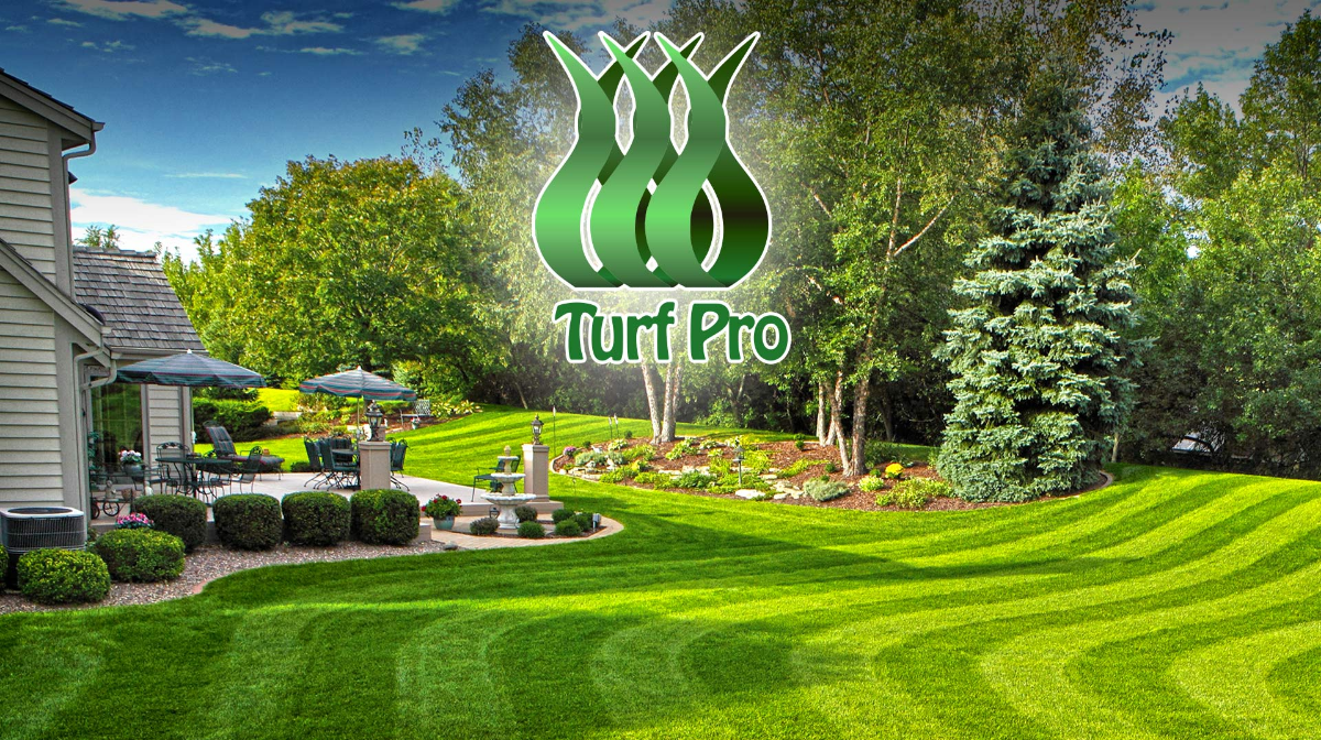 A well-manicured, striped green lawn in a suburban backyard highlights expert lawn care, bordered by shrubs, trees, and a patio with outdoor furniture. The Turf Pro logo with green blades of grass is centered at the top.