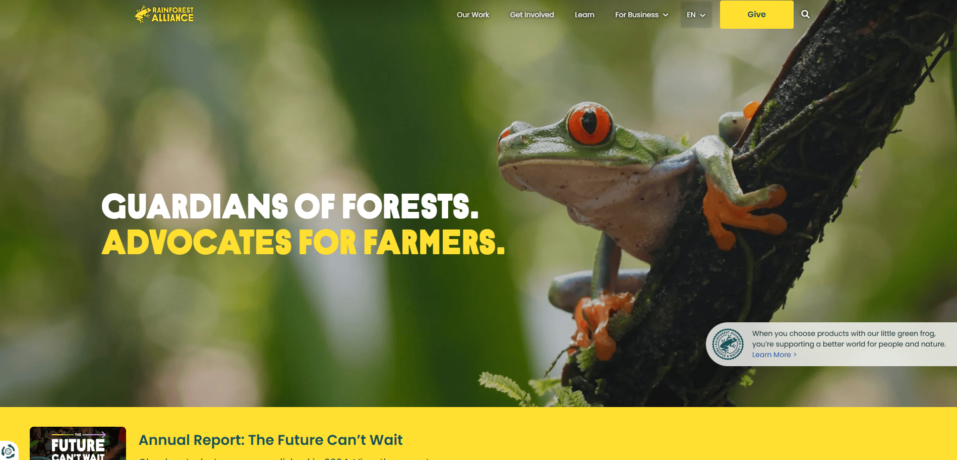 A red-eyed tree frog clings to a mossy branch, with the text “Guardians of Forests. Advocates for Farmers.” overlaid in bold white and yellow letters. The Rainforest Alliance logo appears in the top left corner.