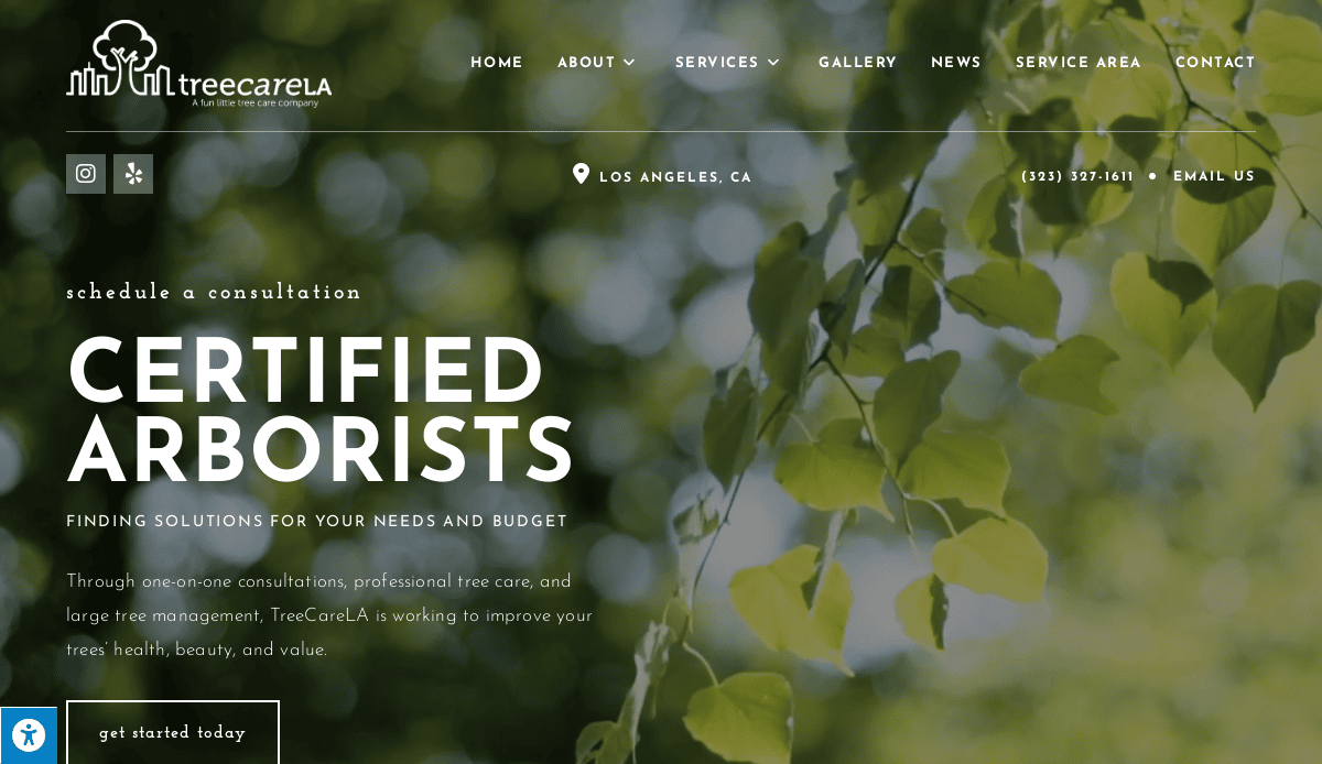 The homepage of TreeCareLA’s website shows sunlight shining through green tree leaves, with text promoting certified arborist services in Los Angeles, CA, and a navigation menu at the top.
