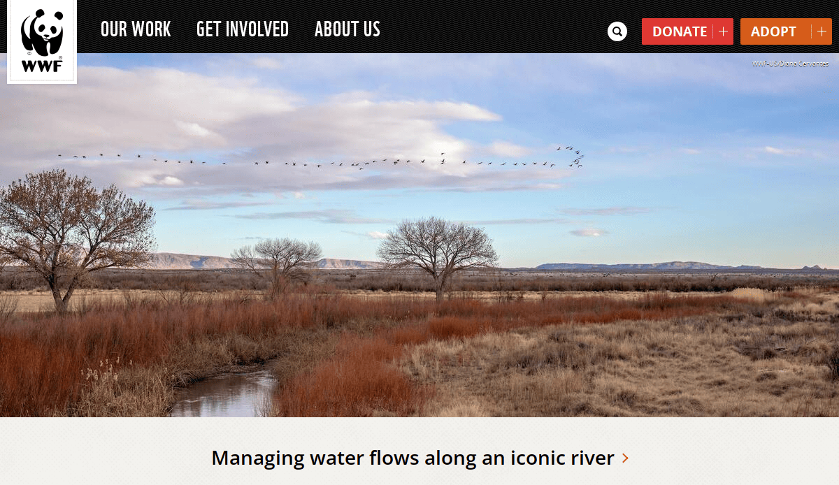 A river runs through a grassy, open plain with leafless trees and red shrubs. A flock of birds flies across a partly cloudy sky. WWF and website menu appear at the top. Text below reads, Managing water flows along an iconic river.