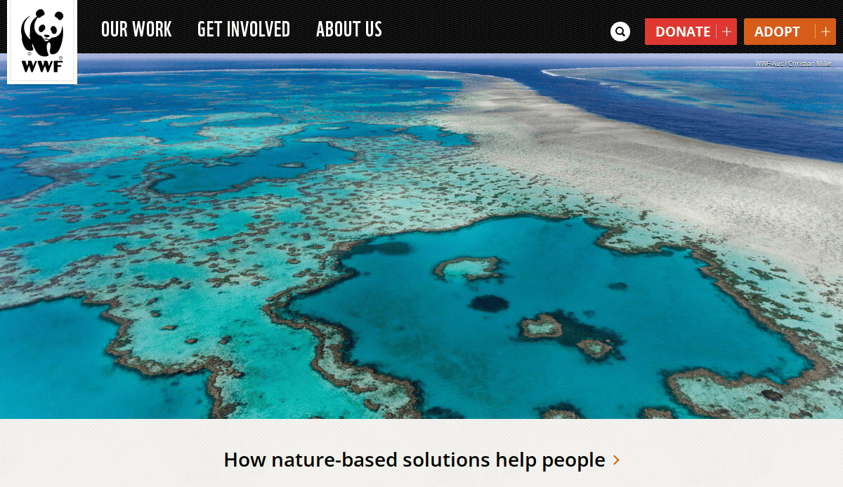 Aerial view of a vibrant coral reef and blue-green ocean waters, with the WWF logo and website navigation menu at the top. Text below reads, How nature-based solutions help people.