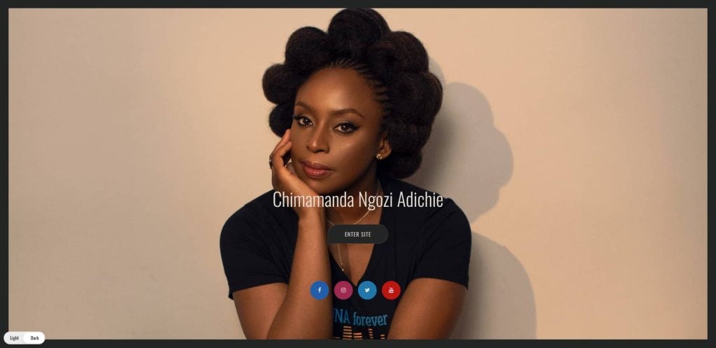 A woman with styled natural hair rests her chin on her hand, looking thoughtfully at the camera. Chimamanda Ngozi Adichie is written over the image, with social media icons and an Enter Site button below.