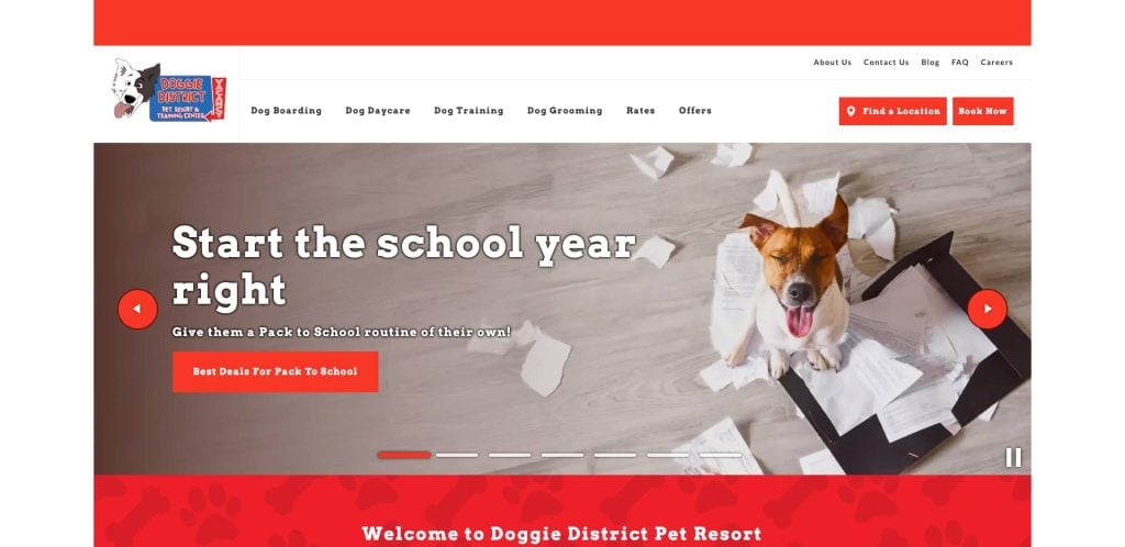 A happy dog with papers scattered around sits on the floor looking up. The website banner promotes Start the school year right at Doggie District Pet Resort, with navigation links and a red Find a Location button.