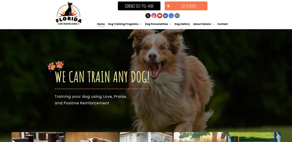 Dog running happily outdoors on grass; website header reads “WE CAN TRAIN ANY DOG!” with Florida dog training school logo, menu bar, contact information, and call-to-action buttons at the top.