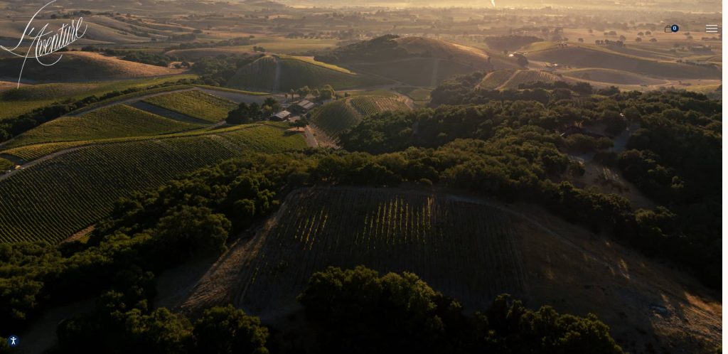 Aerial view of rolling hills with vineyards, trees, and scattered buildings at sunset, casting long shadows across the landscape.