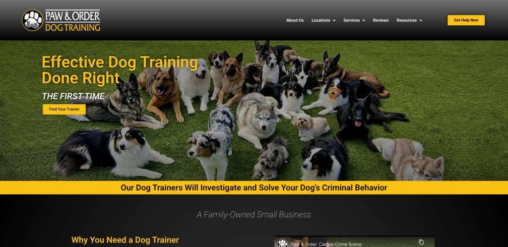 A group of various dog breeds sit and lie on green grass, facing the camera. The website header reads “Paw & Order Dog Training,” with bold yellow text promoting dog training services.