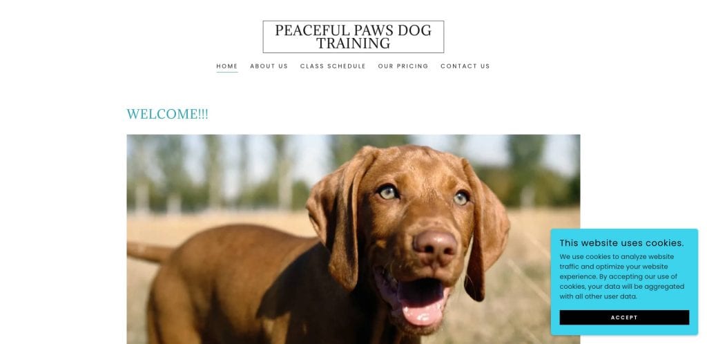 A brown dog stands outdoors on grass with its mouth open, looking happy. Above, the Peaceful Paws Dog Training website header and menu are visible, along with a blue cookie notice in the bottom right corner.