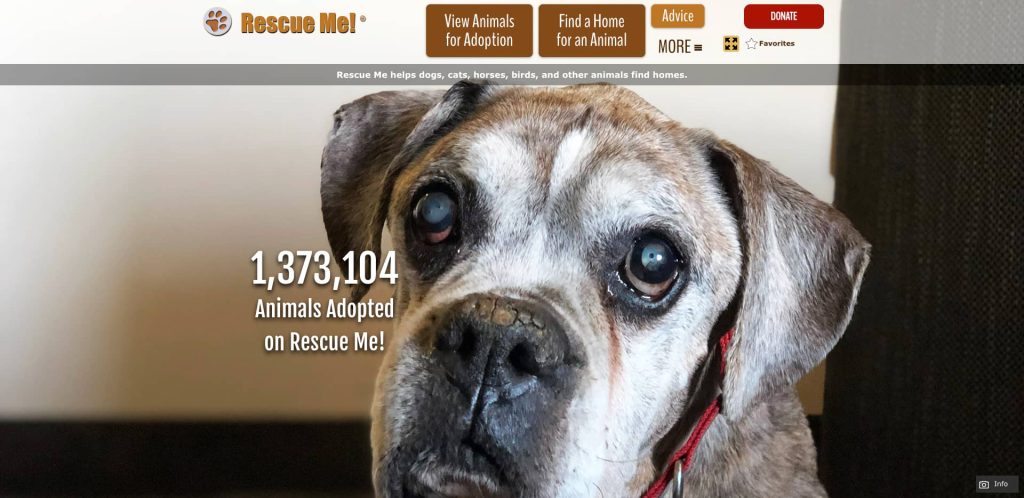 Close-up of an elderly dog with sad eyes and graying fur. Text reads “1,373,104 Animals Adopted on Rescue Me!” with navigation buttons for adopting or finding animals at the top of the screen.
