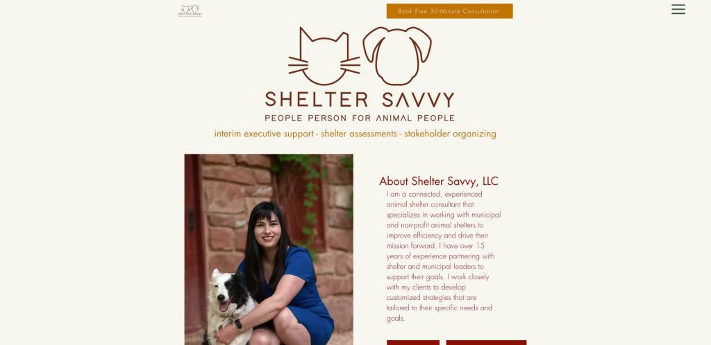 A woman in a blue dress kneels beside a black and white dog, both smiling, in front of a brick wall. Above them is the Shelter Savvy logo with line drawings of a cat and dog, and a tagline about animal people.