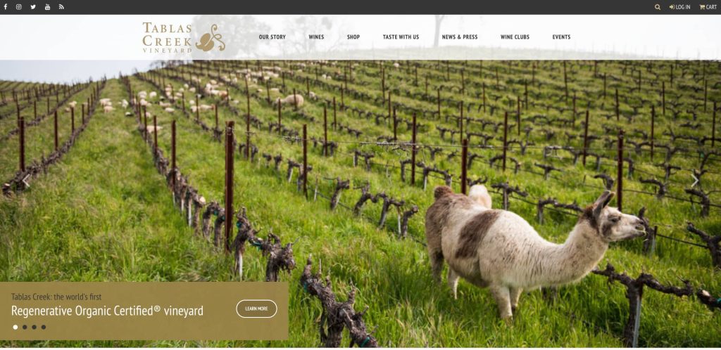 A vineyard with rows of grapevines on a grassy slope, with sheep and a llama grazing among the vines. A banner at the bottom reads Tablas Creek: the world’s first Regenerative Organic Certified® vineyard.