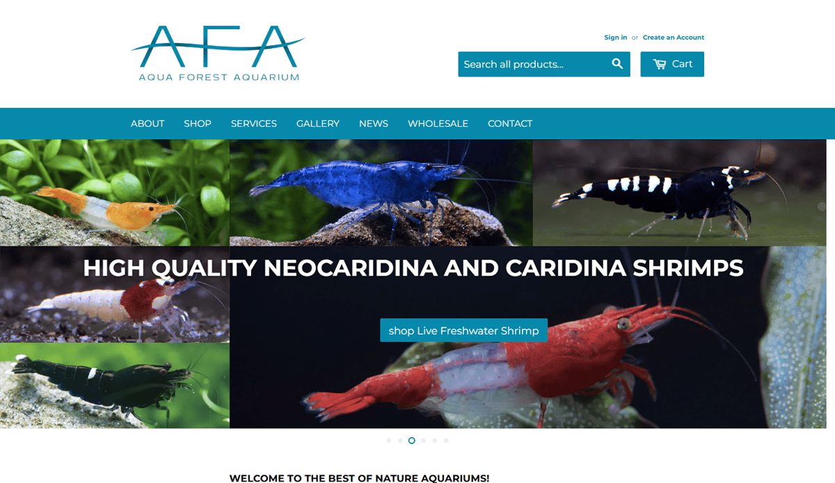 Homepage of Aqua Forest Aquarium, featuring a vibrant shrimp banner and intuitive navigation. Discover expert aquarium guides, browse the shop, and enjoy sleek aquarium website design that’s perfect for converting traffic. Search bar and cart are easily accessible.