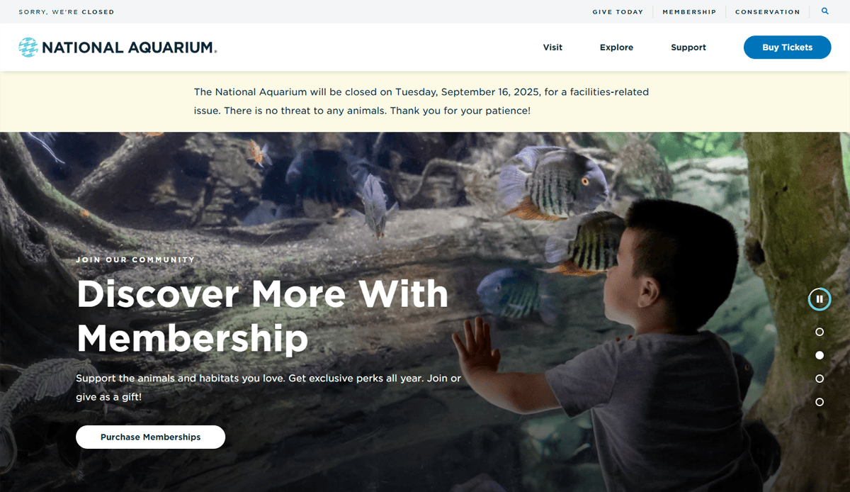 A young child watches colorful fish swim in a large aquarium tank. Text promotes National Aquarium membership and offers an aquarium website guide, while noting a temporary closure on September 16, 2025, for a facilities-related issue.