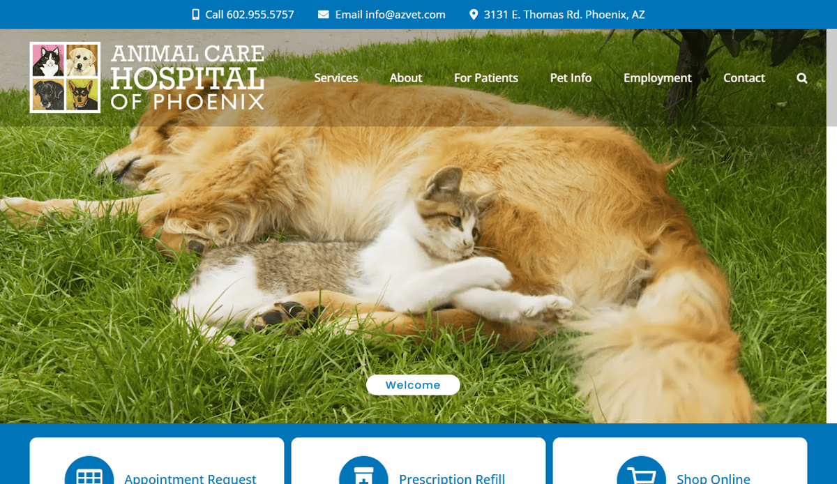 A large golden dog and a small white-and-gray cat are lying together on green grass, with the cat cuddled against the dog. The professional veterinary website menu and Animal Care Hospital of Phoenix logo appear at the top.