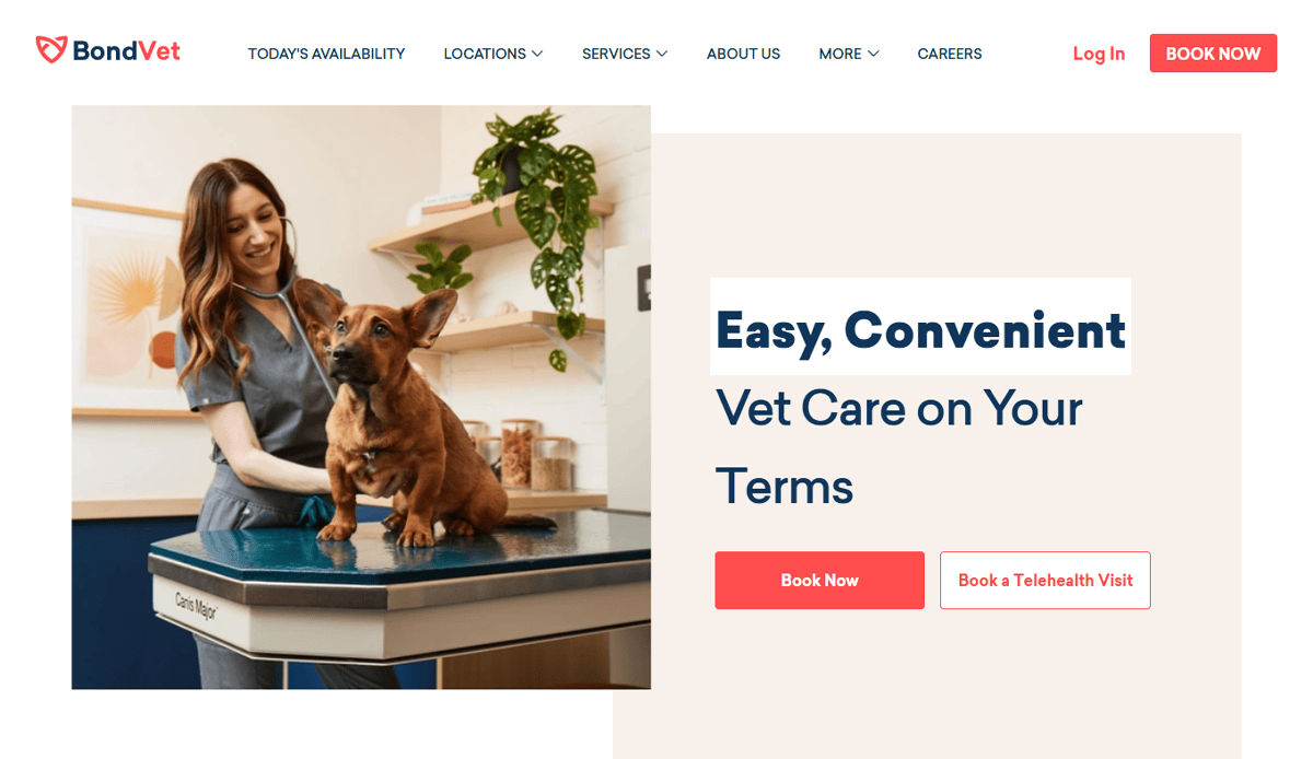 A smiling veterinarian pets a brown dog on an exam table in a bright clinic. Text reads, Easy, Convenient Vet Care on Your Terms, with buttons for booking an appointment or telehealth—perfect for any professional veterinary website.