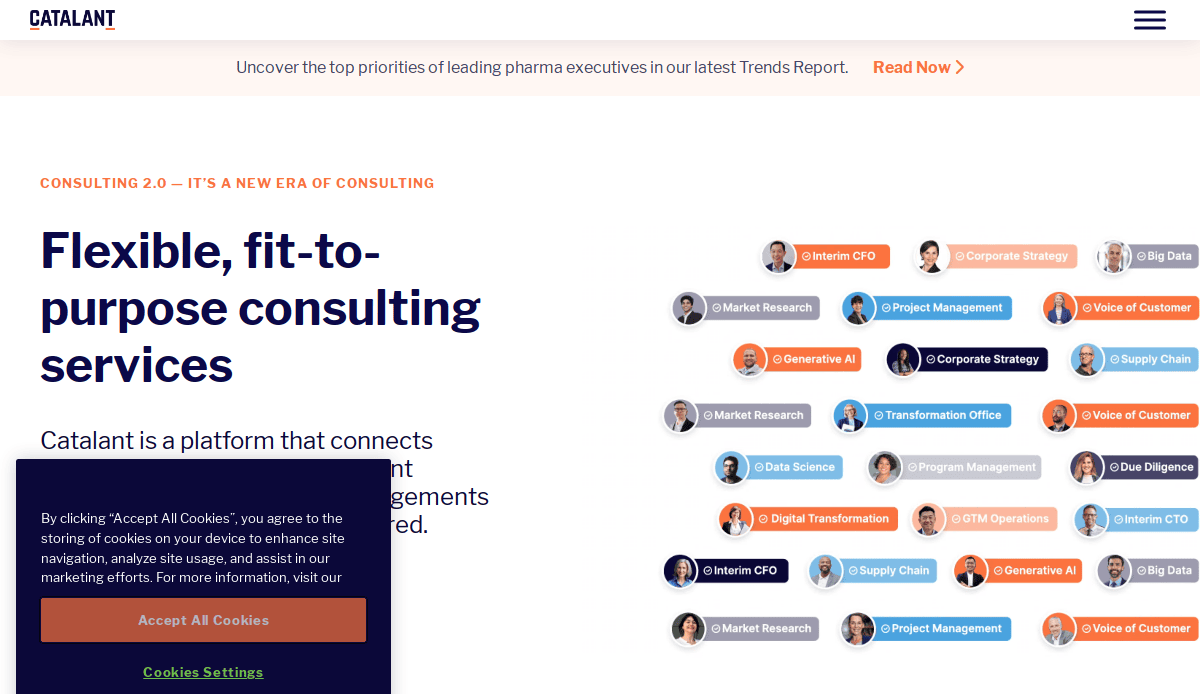 Screenshot of a consultant website design titled Flexible, fit-to-purpose consulting services, featuring a consent popup at the bottom left and colorful text bubbles on the right that showcase connected consultancy roles—perfect to help win clients.