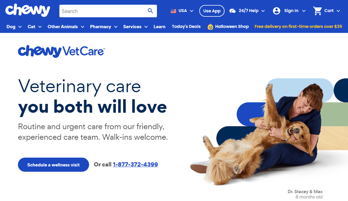 A veterinarian in blue scrubs gently examines a happy golden retriever lying on its back. The Chewy logo and “Veterinary care you both will love” are displayed, inspired by professional veterinary website design, with options to schedule a visit or call for help.