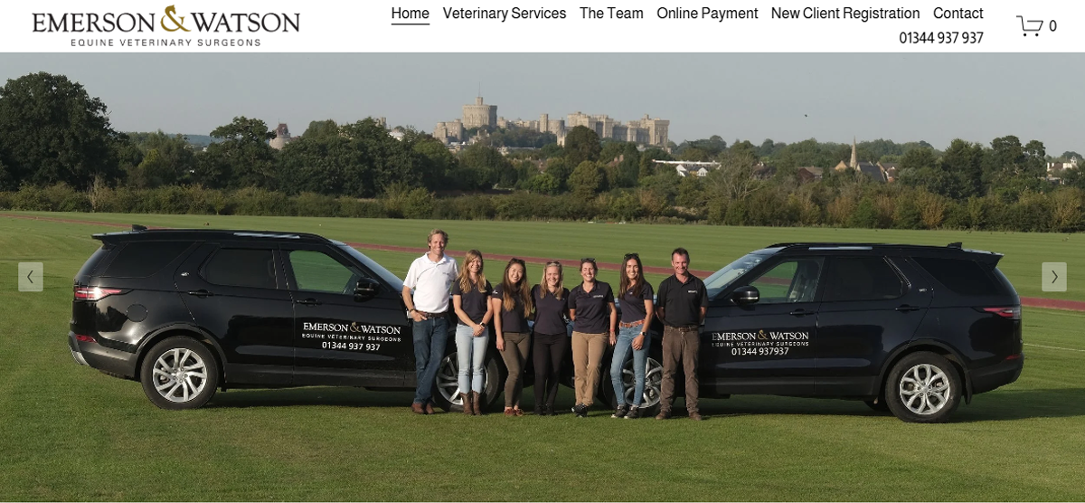 A group of eight people stand smiling on a grassy field between two black Emerson & Watson veterinary vehicles, with Windsor Castle visible in the background under a clear sky—perfect for a professional veterinary website.