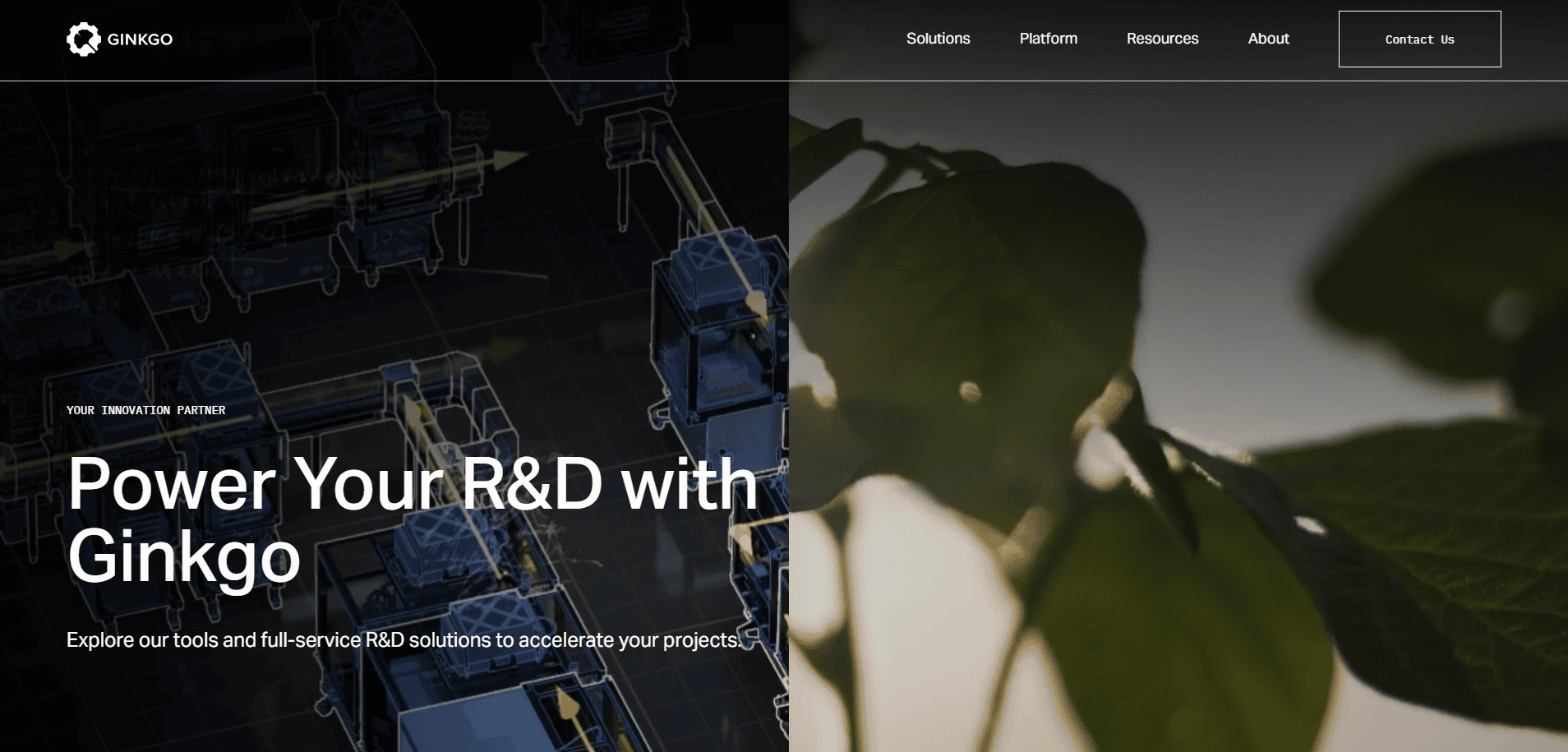 A biotech website design homepage displays Power Your R&D with Ginkgo over a split background—technical machinery illustrations on the left, green leaves on the right. Navigation links for biotech companies are featured at the top.