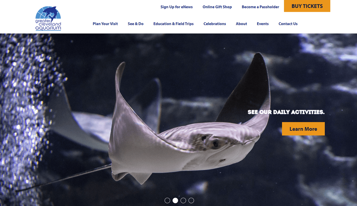 A close-up view of a stingray swimming underwater is featured on the Greater Cleveland Aquarium website homepage, showcasing aquarium website design that captivates visitors. A yellow Learn More button and navigation links appear at the top.