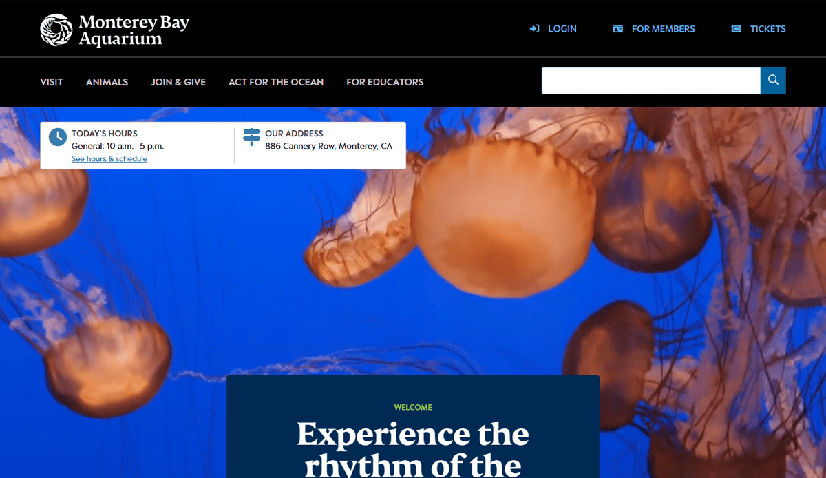 Screenshot of the Monterey Bay Aquarium website homepage, showcasing aquarium website design with orange jellyfish drifting across a blue backdrop and top navigation links featuring visitor information.