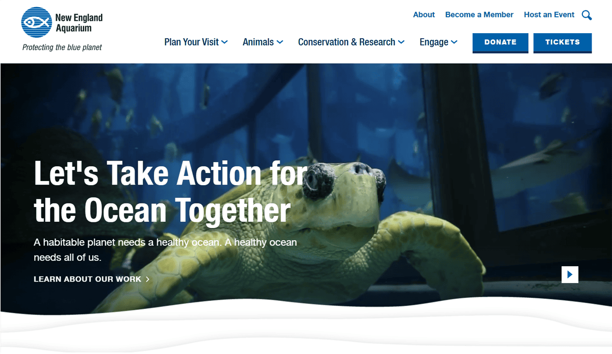 A sea turtle swims underwater at the New England Aquarium. Bold text over the image reads, Let’s Take Action for the Ocean Together. The aquarium website design features clear navigation options and donation buttons at the top of the page.