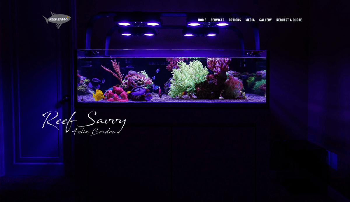 A brightly lit saltwater aquarium with colorful corals and fish is displayed in a dark room. The screen shows a navigation menu and the text Reef Savvy Felix Bordon in elegant script, exemplifying stunning Aquarium website design.