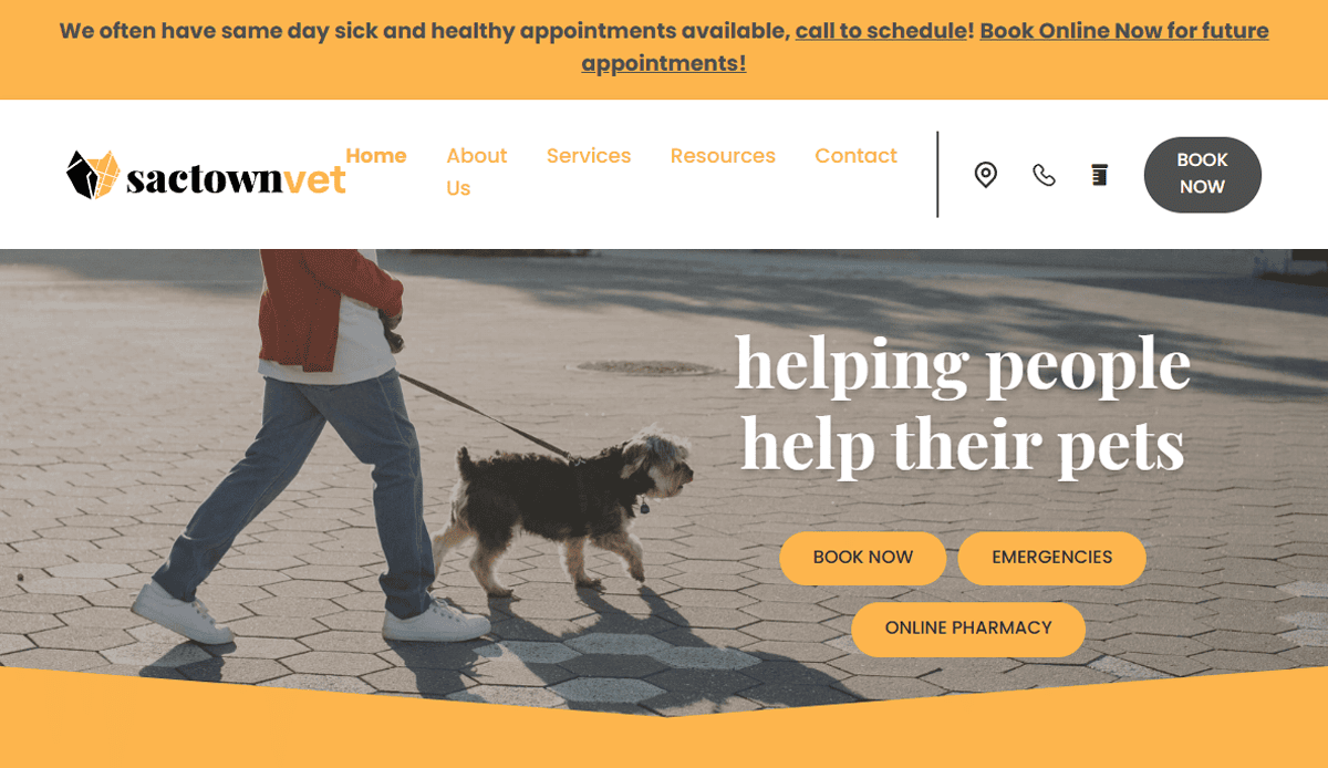 A person walks a small black and brown dog on a leash. The professional veterinary website banner reads “sactown vet,” with navigation for booking, emergencies, and pharmacy. A message promotes pet health appointments.