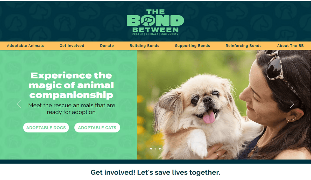 A woman smiles while holding a small fluffy dog outside. The website header reads The Bond Between and highlights Professional Veterinary Website features, with options for adoptable animals, volunteering, donating, and learning about animal companionship.