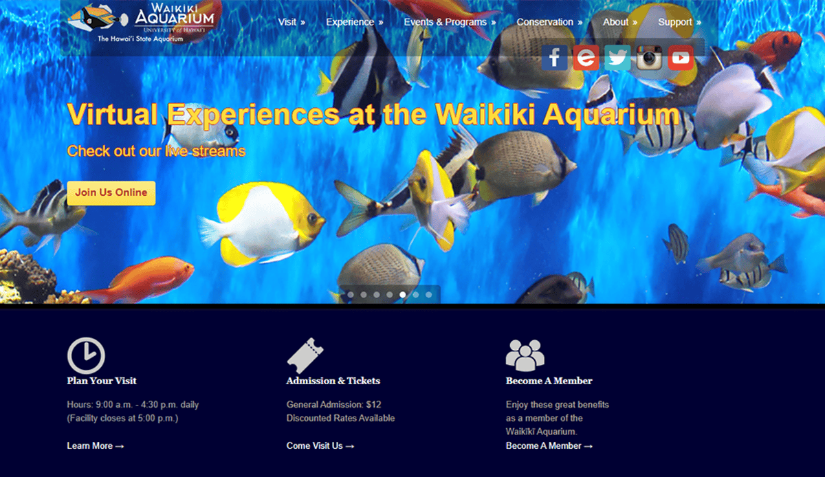 Screenshot of the Waikiki Aquarium website homepage with colorful tropical fish, a banner for virtual experiences, and navigation links—an example of captivating visitors through effective aquarium website design.