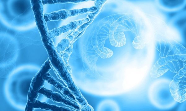 A close-up digital illustration of blue DNA double helix strands with blurred cells and abstract cellular structures in the background, symbolizing Perfect Evolution in genetics and molecular biology.