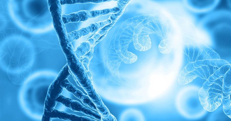 A close-up digital illustration of blue DNA double helix strands with blurred cells and abstract cellular structures in the background, symbolizing Perfect Evolution in genetics and molecular biology.