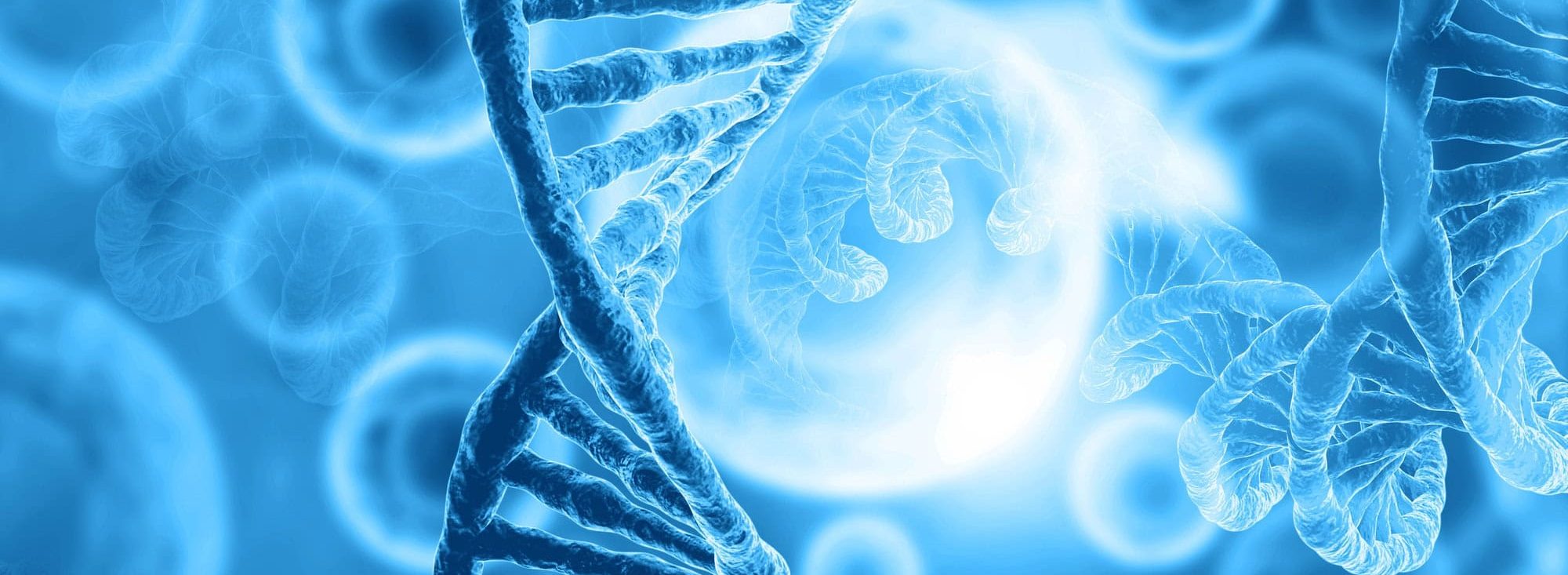 CyberOptik Welcomes Perfect Evolution’s WordPress Clients!