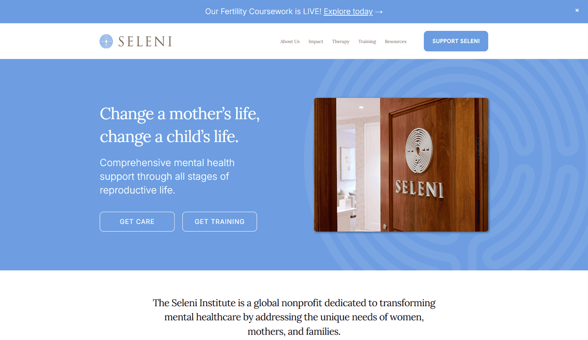 Screenshot of the Seleni Institute’s client-centered practice site, featuring their logo, the tagline Change a mother’s life, change a child’s life, and buttons for Get Care and Get Training. A photo shows a door with the Seleni logo.