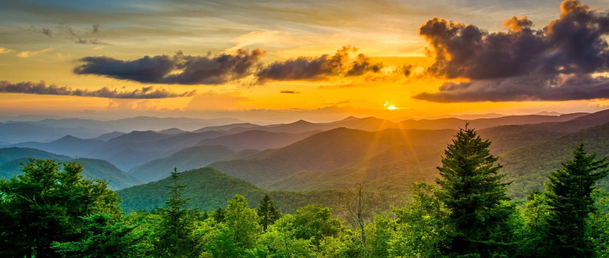 A New Adventure: CyberOptik Acquires Status Forward