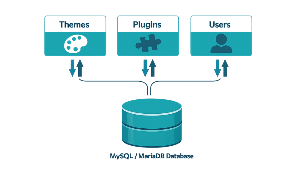 Diagram showing Themes, Plugins, and Users boxes with icons above arrows pointing to a central MySQL/MariaDB database, representing the databases connection to these three components.