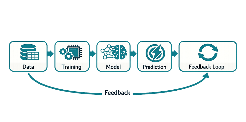 A flowchart illustrating five steps in machine learning: Data, Training, Model, Prediction, and Feedback Loop. Arrows connect each step, with a feedback loop arrow guiding improvements from Feedback Loop back to Training.